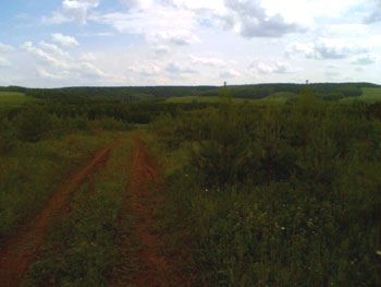 Дорога в никуда